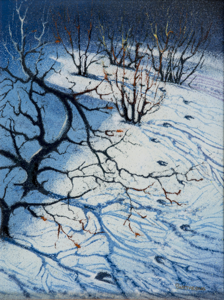 Branches in the Snow Image